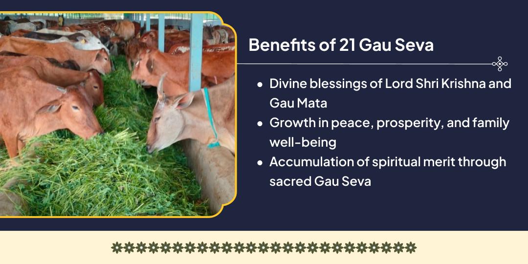 Feed 21 Cows on Shri Krishna Dwadashi