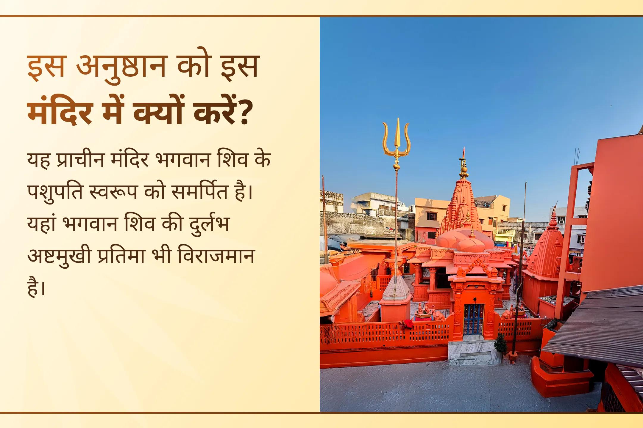 🌿 क्या कड़ी मेहनत के बाद भी आपके करियर में प्रगति नहीं हो रही है? इस सावन भगवान शिव की कृपा से उन्नति, सफलता और नए अवसरों की प्रार्थना करें।
