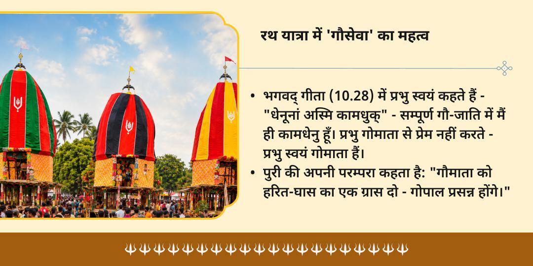 रथ यात्रा पुरी गौशाला में 101kg हरा चारा-गुड़ गौसेवा