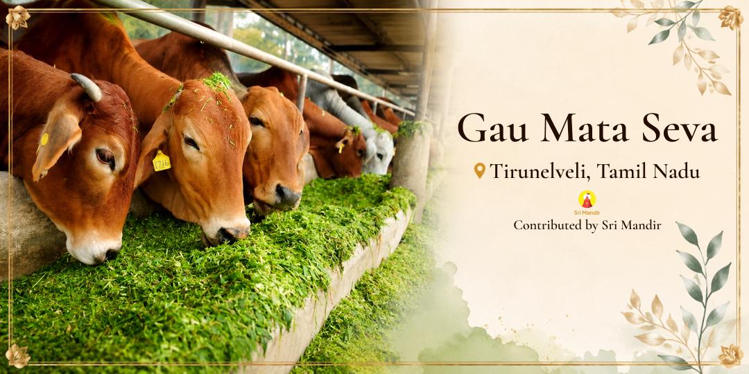 Gau Mata Seva in Tirunelveli