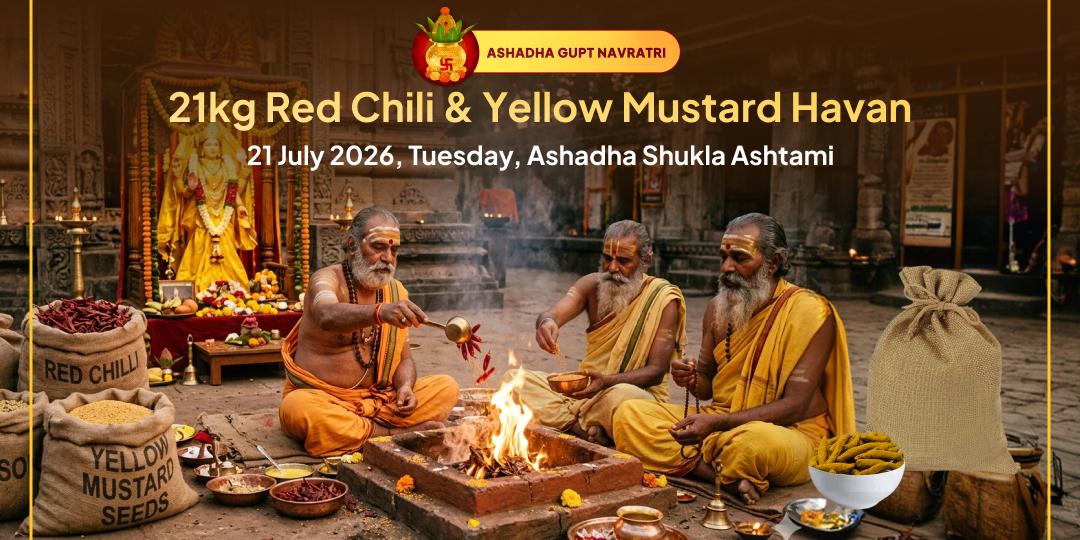 Navratri Maha Ashtami Baglamukhi 21kg Lal Mirchi-21 kg Yellow Mustard Havan For Evil Eye & Enemy Victory