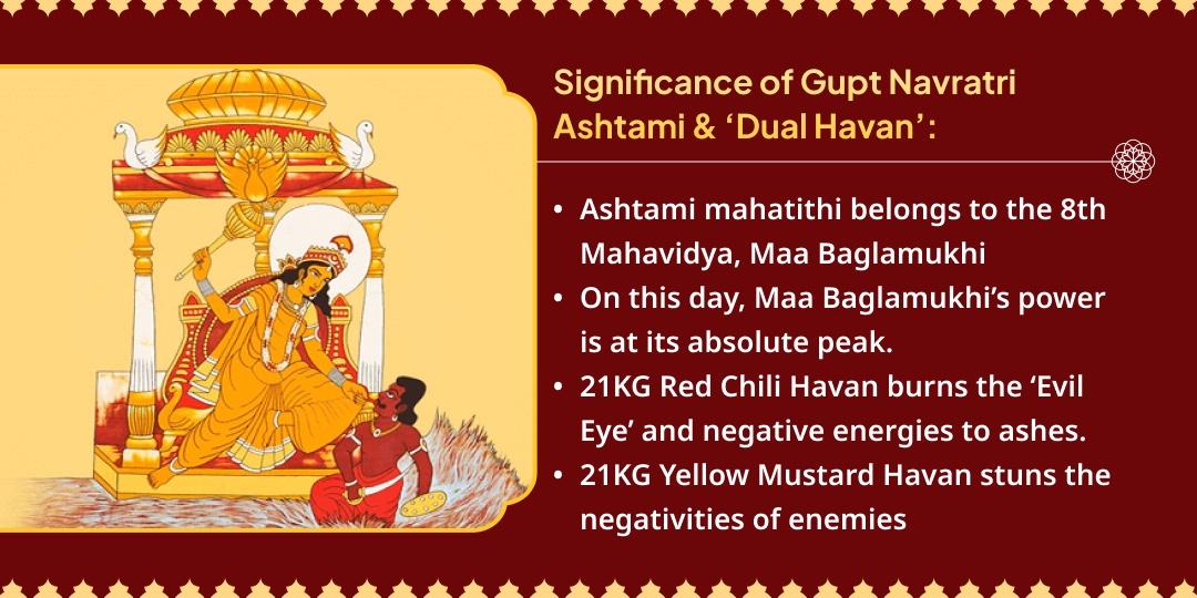 Navratri Maha Ashtami Baglamukhi 21kg Lal Mirchi-21 kg Yellow Mustard Havan For Evil Eye & Enemy Victory