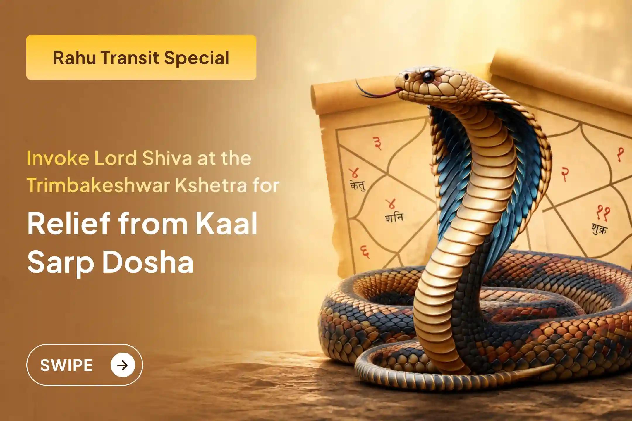 On this rare Rahu transit occurring after 18 years, participate in the Kaal Sarp Dosha Shanti Puja at the sacred Trimbakeshwar kshetra and pray to Lord Shiva for relief from life's obstacles.