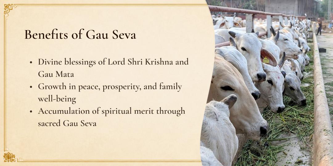 Gau Mata Seva in Tirunelveli