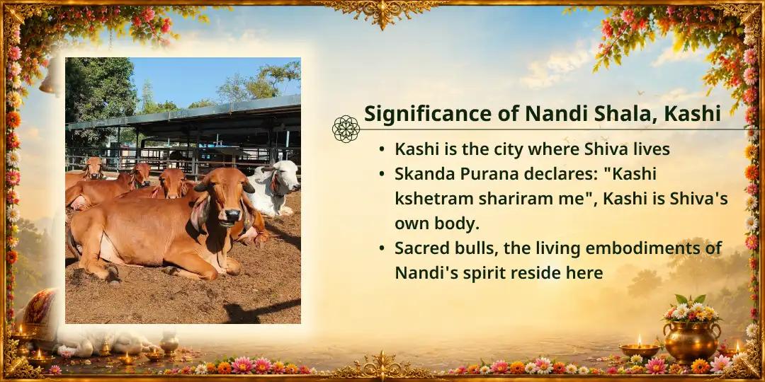 Sawan Somwar Shiv Priya Vahan Nandi Mahaseva 