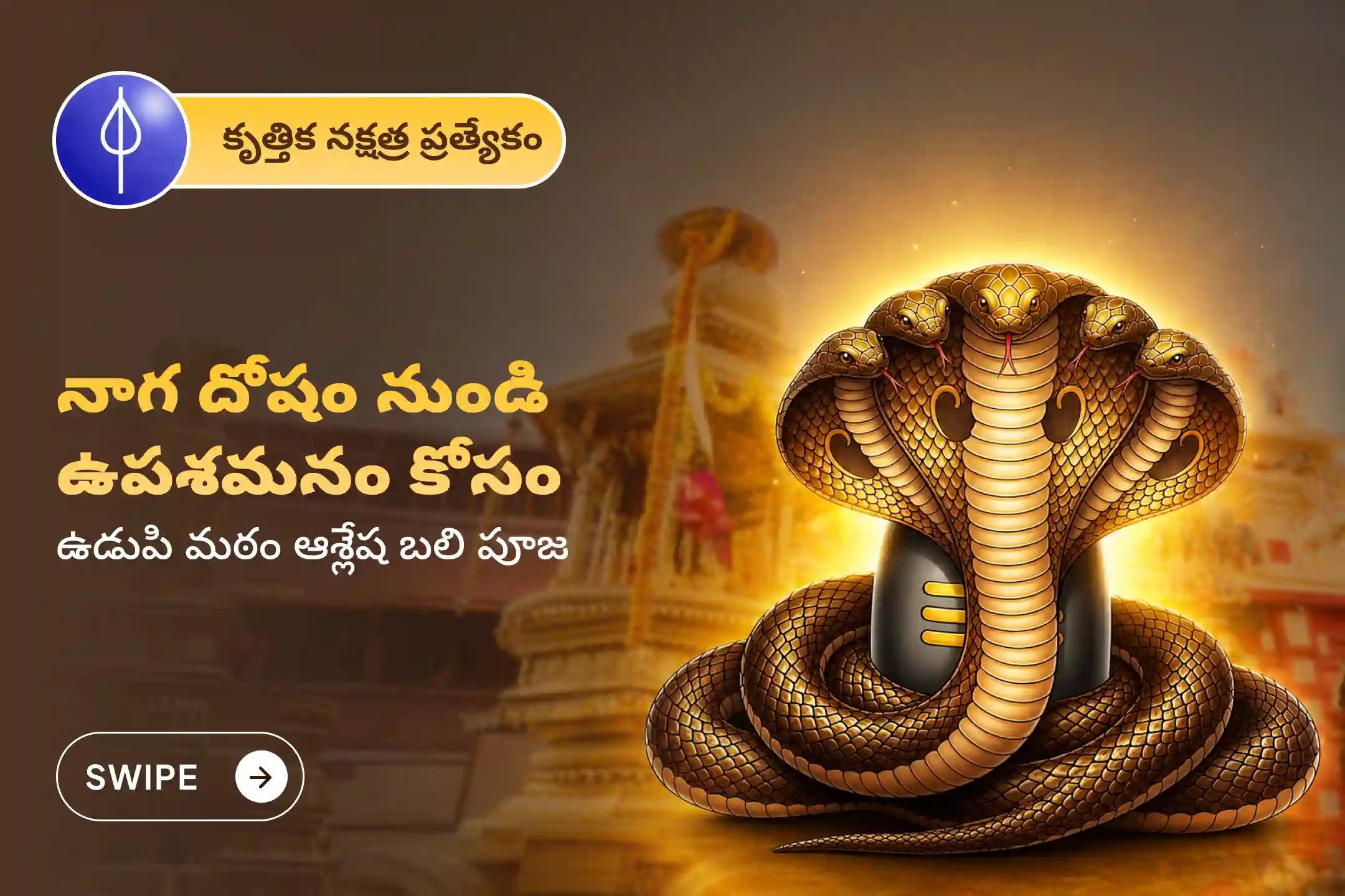 ఈ కృత్తిక నక్షత్ర పవిత్ర దినాన ఉడుపి మఠంలో జరిగే 'ఆశ్లేష బలి పూజ'లో పాల్గొని, సర్ప (నాగ) దోష నివారణ పొంది పూర్వ జన్మ పాపాలను ప్రక్షాళన చేసుకునే అవకాశాన్ని పొందండి. 