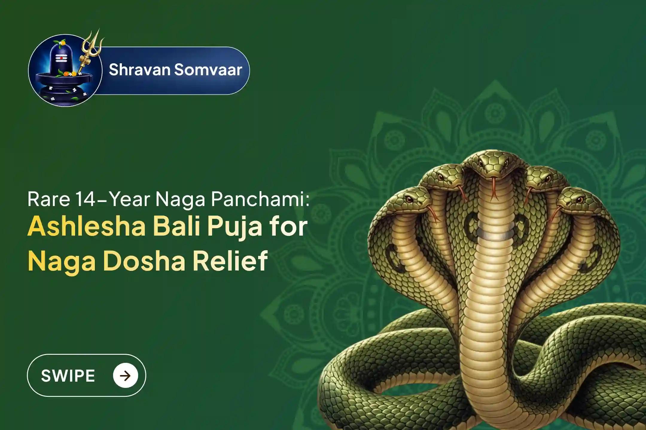 Participate in the 'Ashlesha Bali Puja' at Gokarna Kshetra on this rare 'Once in 14 years special Naag Panchami on Monday' to remove the negative effects of Sarpa (Naga) Dosha and cleanse past karmic sins