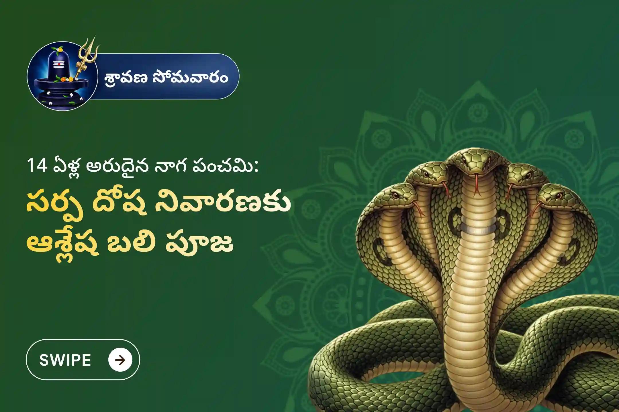 14 సంవత్సరాలకు ఒకసారి వచ్చే ఈ అరుదైన 'నాగ పంచమి సోమవారం' నాడు గోకర్ణ క్షేత్రంలో జరిగే 'ఆశ్లేష బలి పూజ'లో పాల్గొని సర్ప (నాగ) దోషాలను తొలగించుకుని, పాపాలను ప్రక్షాళన చేసుకోండి.