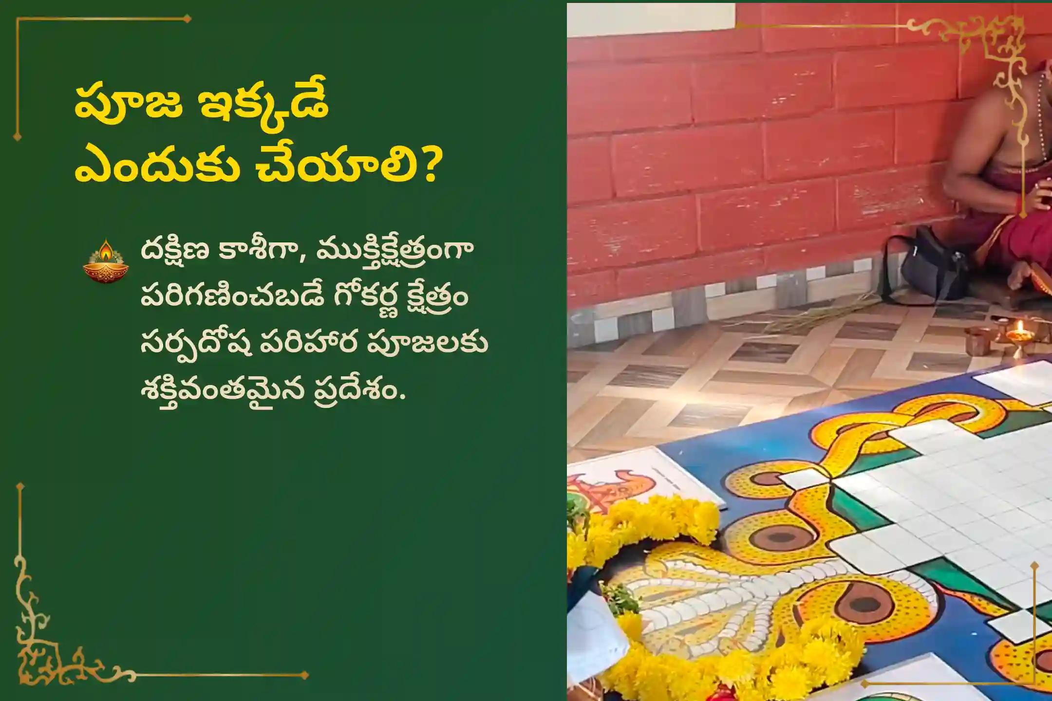 14 సంవత్సరాలకు ఒకసారి వచ్చే ఈ అరుదైన 'నాగ పంచమి సోమవారం' నాడు గోకర్ణ క్షేత్రంలో జరిగే 'ఆశ్లేష బలి పూజ'లో పాల్గొని సర్ప (నాగ) దోషాలను తొలగించుకుని, పాపాలను ప్రక్షాళన చేసుకోండి.