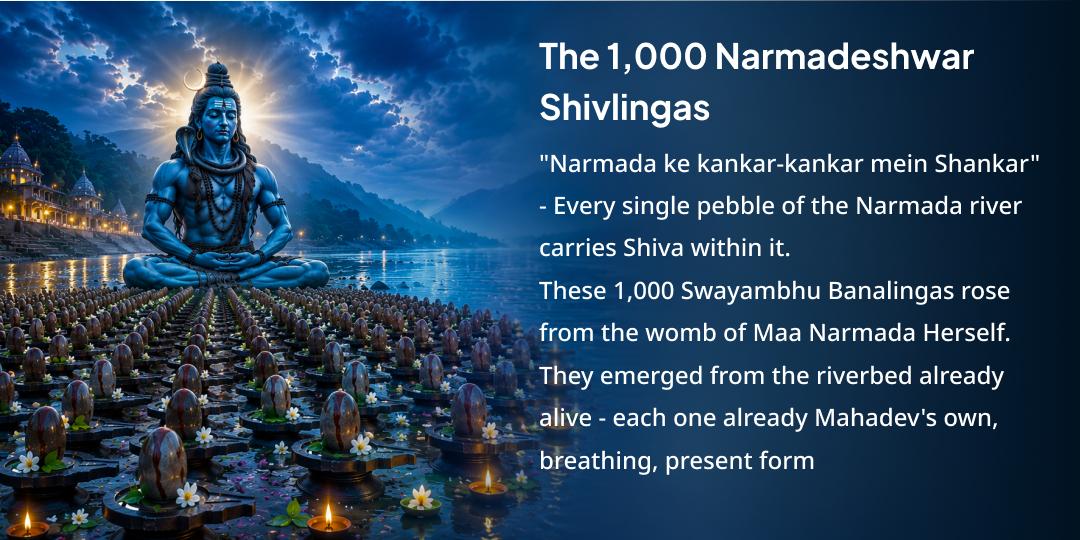 Antim Sawan Somwar 1000 Narmadeshwar Shivlingas Abhishek by 1000 Brahmins