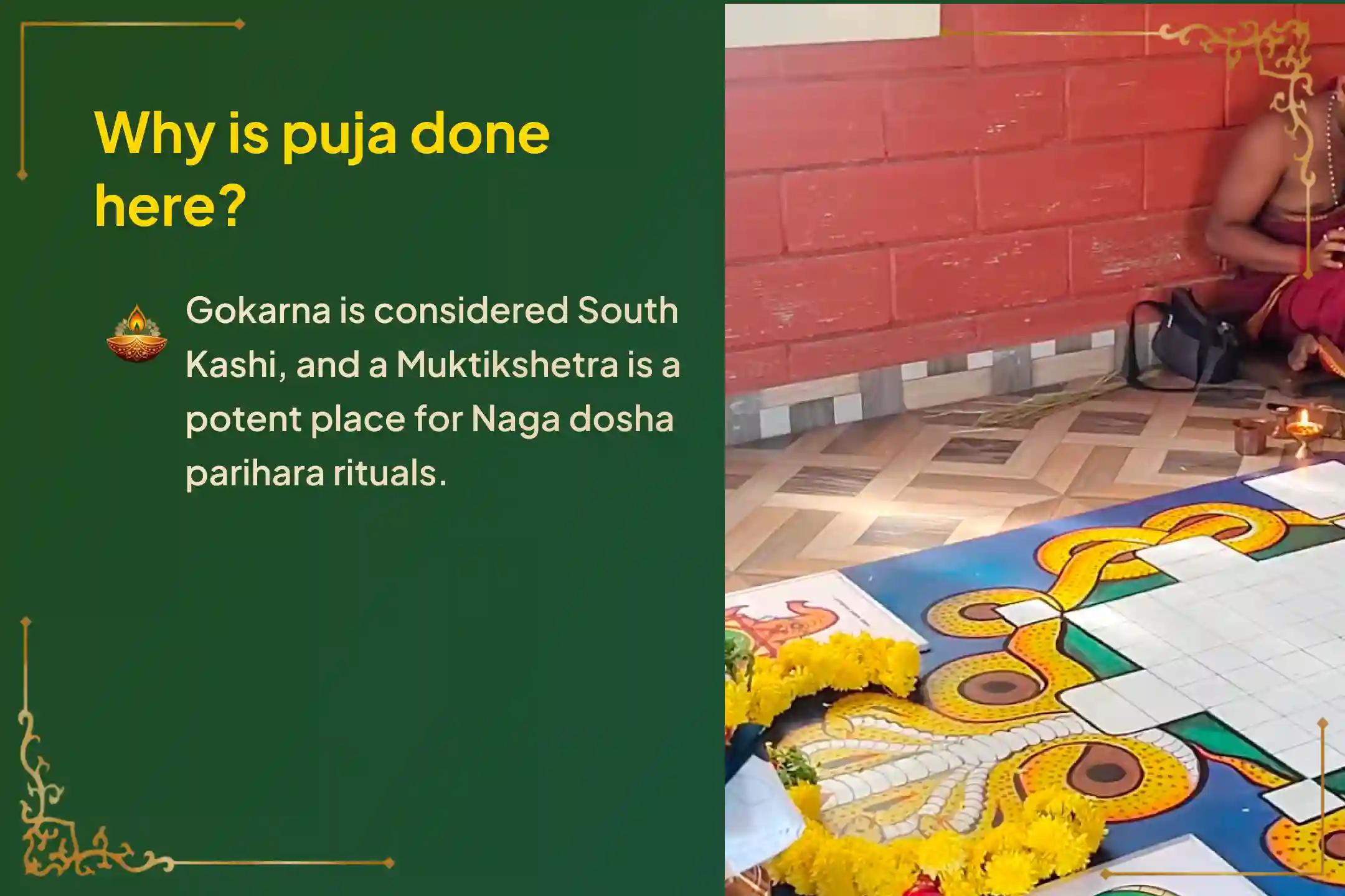 Participate in the 'Ashlesha Bali Puja' at Gokarna Kshetra on this rare 'Once in 14 years special Naag Panchami on Monday' to remove the negative effects of Sarpa (Naga) Dosha and cleanse past karmic sins