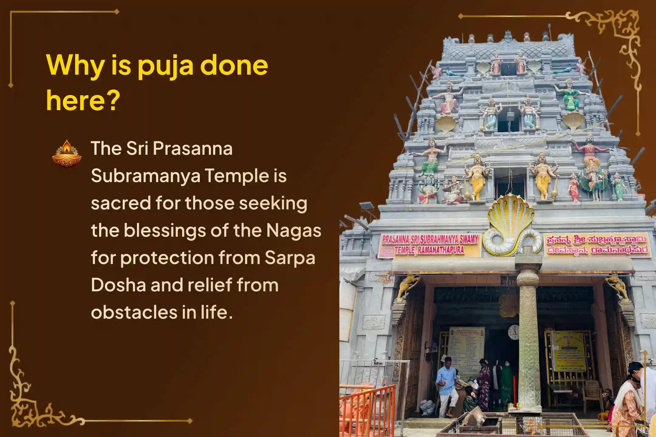 🕉️ವಿವಾಹ ವಿಳಂಬಗಳು, ಸಂತಾನ ಸಮಸ್ಯೆಗಳು ಅಥವಾ ಆರ್ಥಿಕ ಸಮಸ್ಯೆಗಳಿಂದ ಮುಕ್ತಿ ಪಡೆಯಲು ನಾಗ ಪಂಚಮಿ - ವಿಶೇಷ ನಾಗ ಪ್ರತಿಷ್ಠಾ ಪೂಜೆಯಲ್ಲಿ ಪಾಲ್ಗೊಳ್ಳಿ🙏