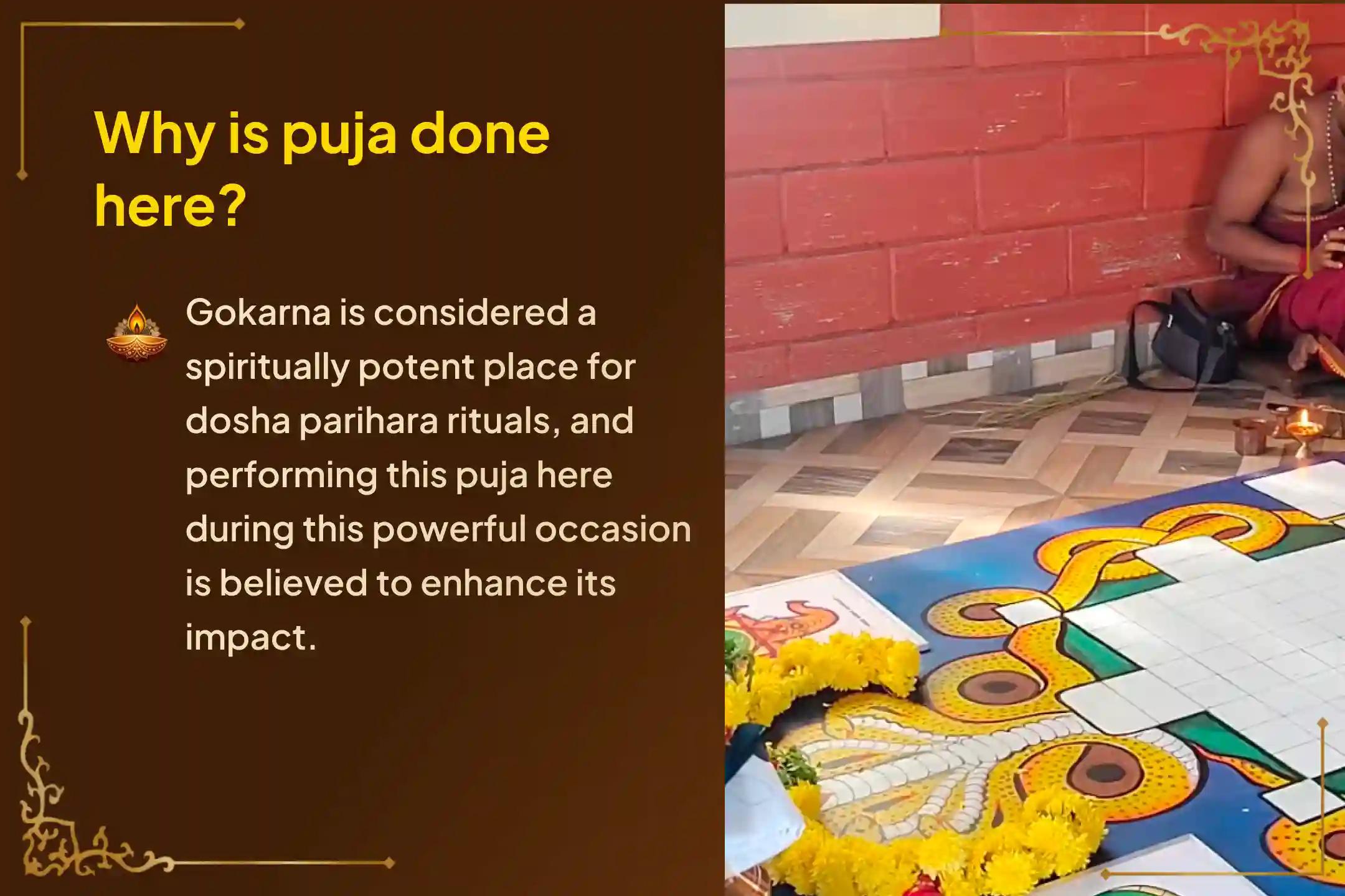 Participate in the sacred 'Mansa Devi 324 Dwadashanamavalli and Abhishekam' at Gokarna Kshetra on this rare once-in-14-years Naag Panchami & Shravana Somvaaram to seek the grace of Goddess Mansa Devi and invoke blessings from Naga Lok