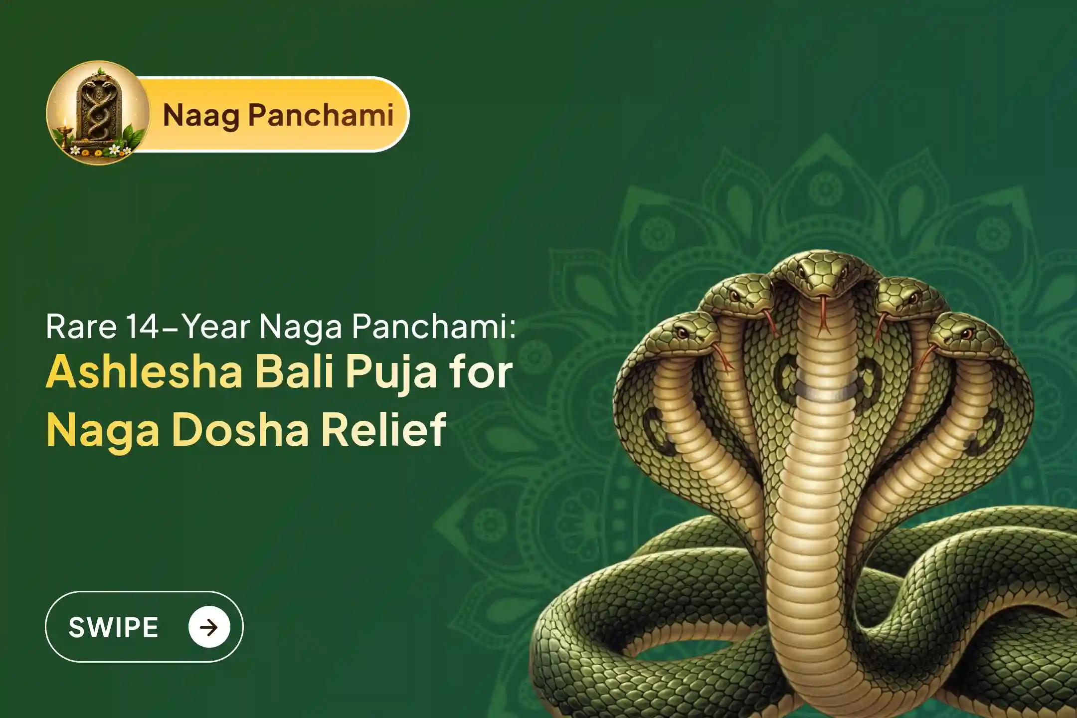 Participate in the 'Ashlesha Bali Puja' at Gokarna Kshetra on this rare 'Once in 14 years special Naag Panchami on Monday' to remove the negative effects of Sarpa (Naga) Dosha and cleanse past karmic sins