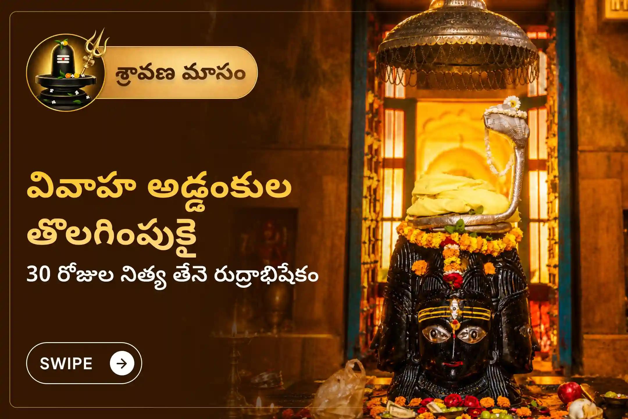 శ్రావణ మాసం పొడవునా జరిగే '30 రోజుల నిత్య తేనె రుద్రాభిషేకం'లో పాల్గొనండి. శివపార్వతుల దివ్యానుగ్రహంతో వివాహ ఆలస్యాలను అధిగమించి, అనుకూలమైన జీవిత భాగస్వామిని పొంది, దాంపత్య జీవితంలో స్థిరత్వాన్ని సాధించండి.