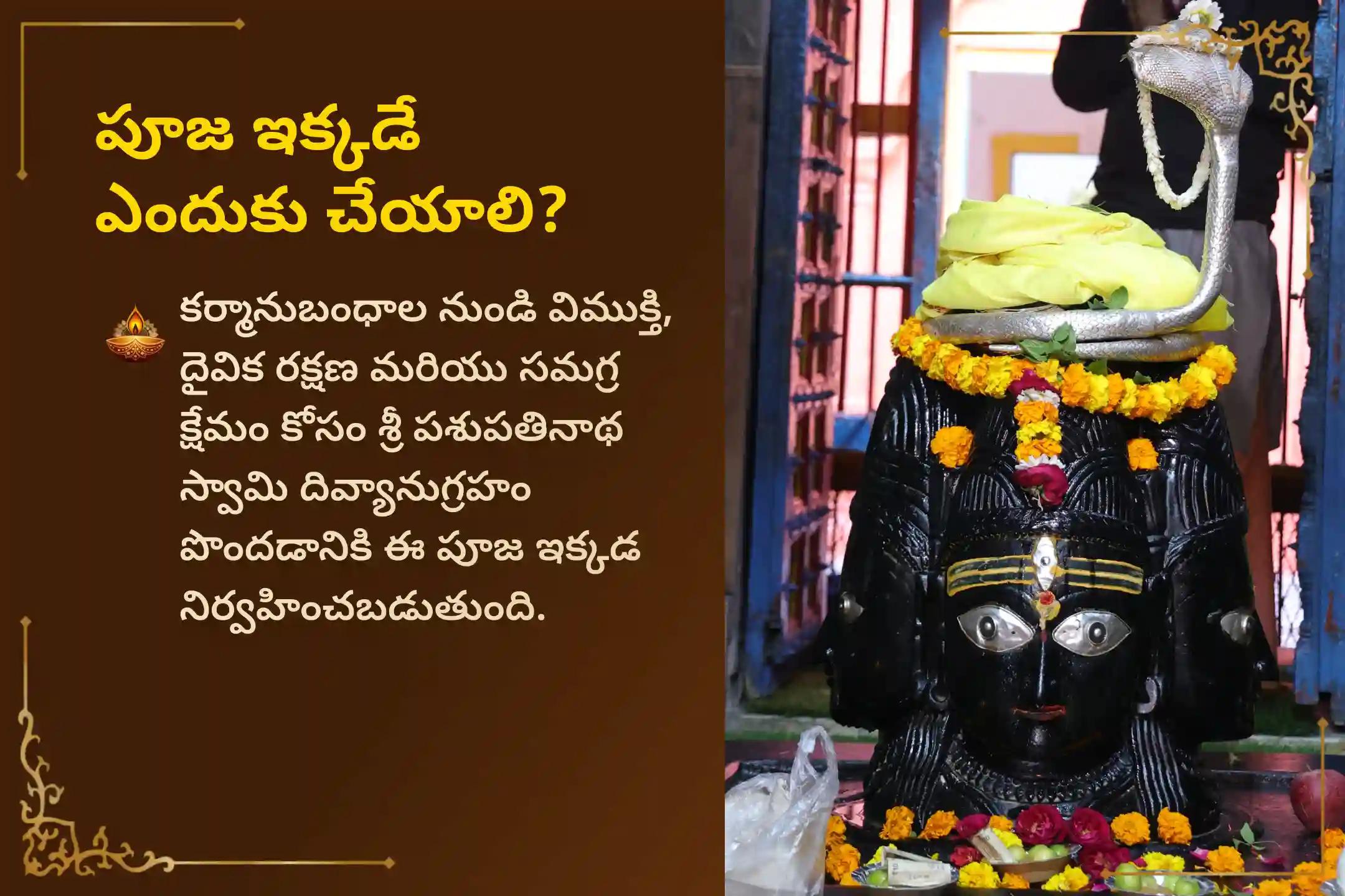 శ్రావణ మాసం పొడవునా జరిగే '30 రోజుల నిత్య తేనె రుద్రాభిషేకం'లో పాల్గొనండి. శివపార్వతుల దివ్యానుగ్రహంతో వివాహ ఆలస్యాలను అధిగమించి, అనుకూలమైన జీవిత భాగస్వామిని పొంది, దాంపత్య జీవితంలో స్థిరత్వాన్ని సాధించండి.