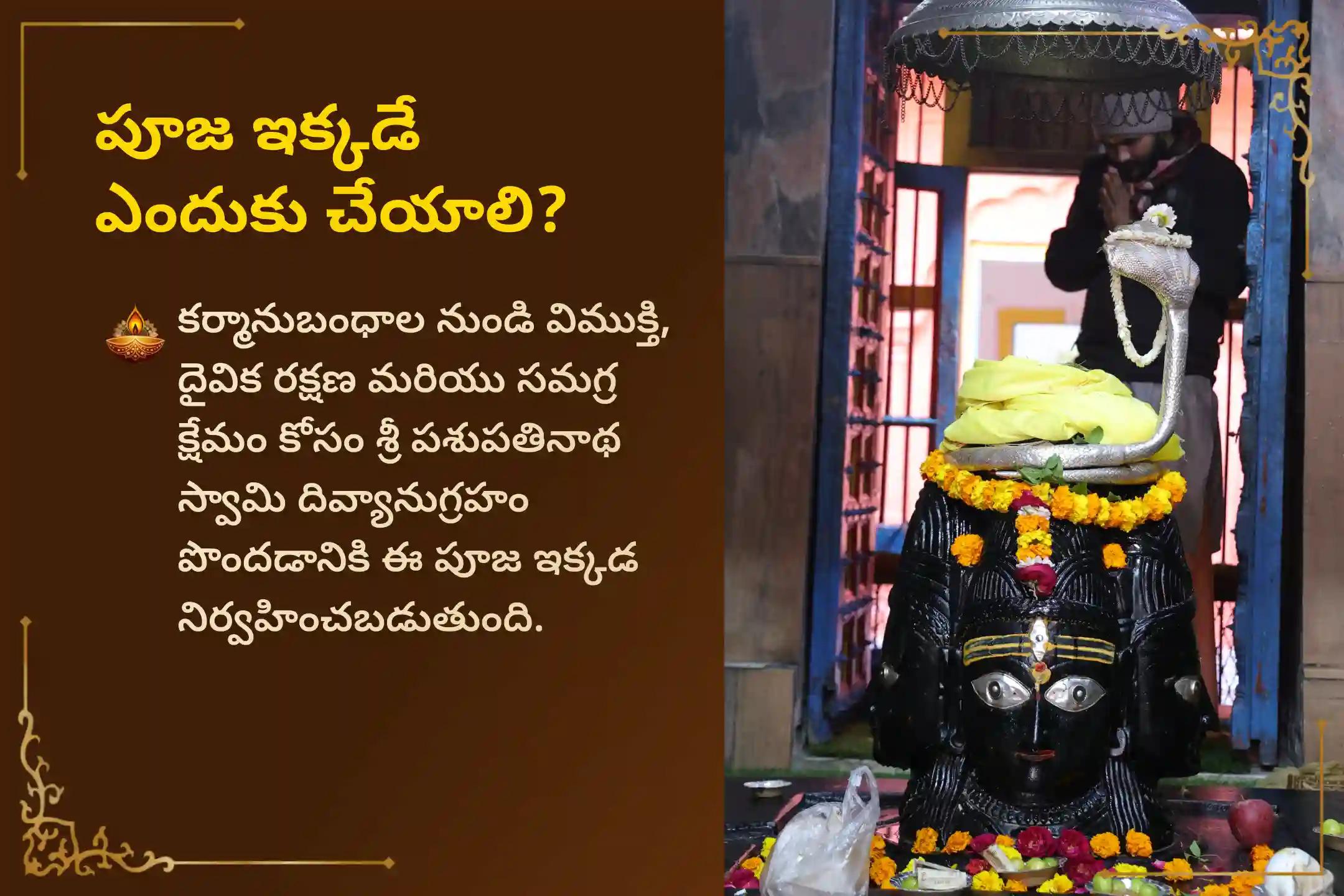 పవిత్రమైన శ్రావణ మాసమంతా జరిగే 'శ్రావణ అఖండ శివార్చన: 30 రోజుల రుద్రాభిషేకం మరియు పంచాక్షరీ మంత్ర జపం'లో పాల్గొనండి. పరమశివుని దివ్యానుగ్రహంతో మానసిక ప్రశాంతతను, ఆత్మవిశ్వాసాన్ని మరియు జీవితంలో పరిపూర్ణ ఎదుగుదలను పొందండి.