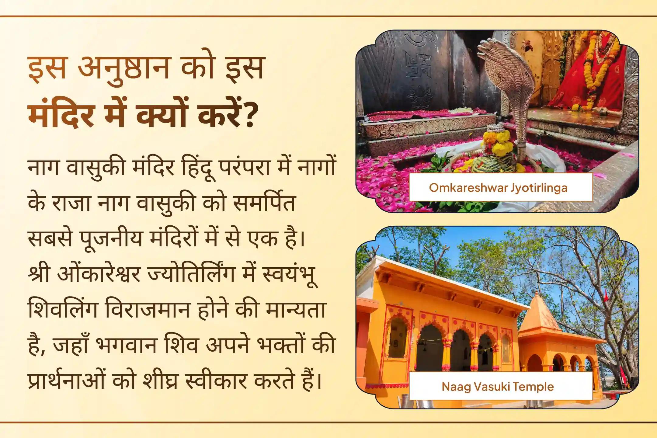 सावन नाग पंचमी पर बुरी नजर के प्रभाव से रक्षा, राहु-केतु दोष शांति तथा धन, स्वास्थ्य और करियर में प्रगति की प्रार्थना करें।