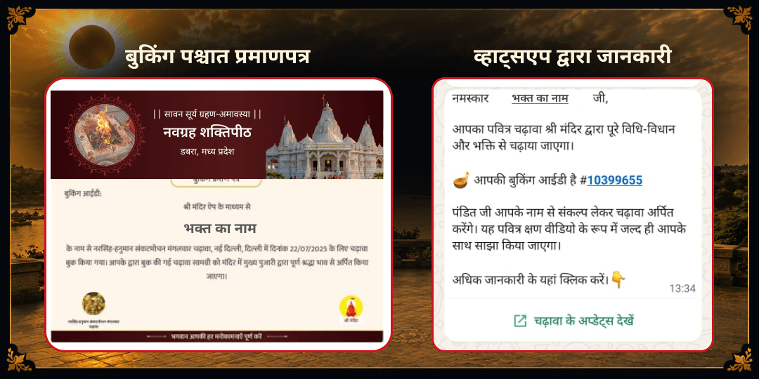 सावन सूर्य ग्रहण-अमावस्या सूर्य-राहु शांति हवन आहुति