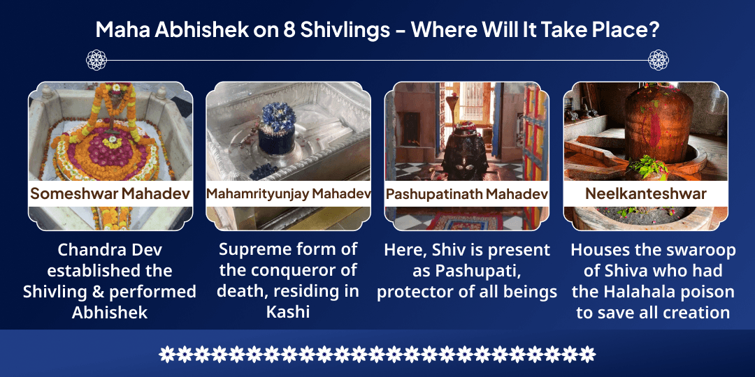 Antim Sawan Somwar 8 Shivlings Maha Abhishek 