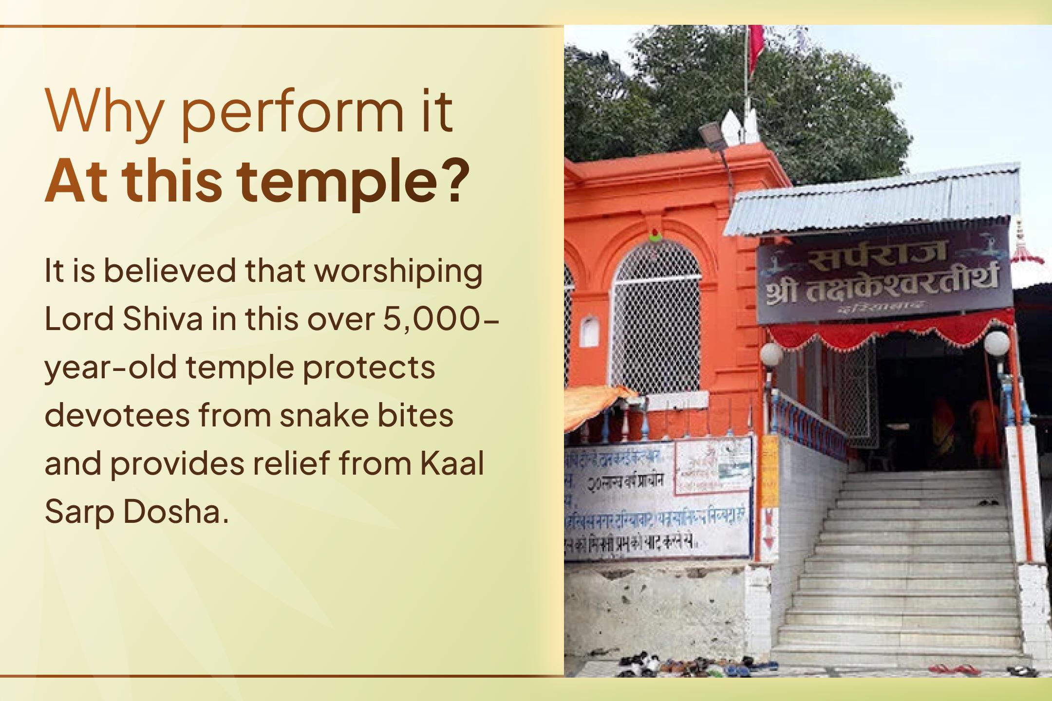  Invoke the combined blessings of Takshak, Shesh, and Vasuki Naag this Panchami. 