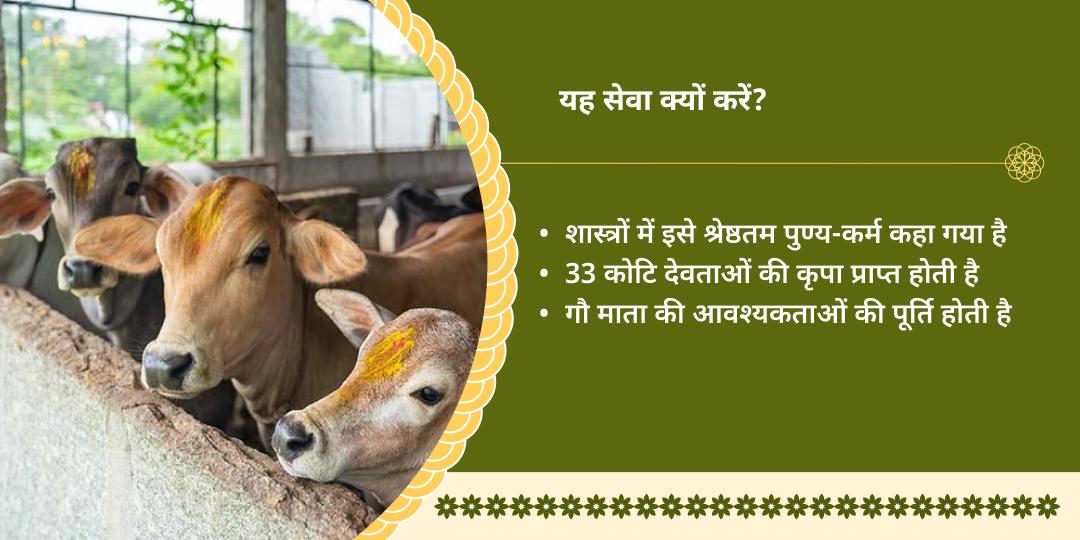 मथुरा में गौ माता सेवा