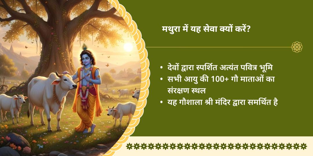 मथुरा में गौ माता सेवा