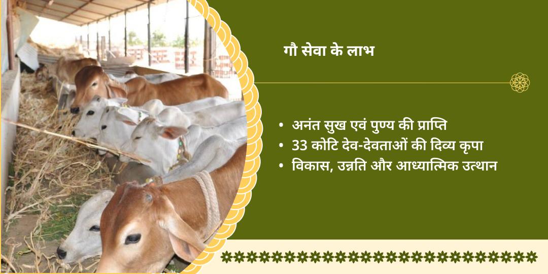 मथुरा में गौ माता सेवा