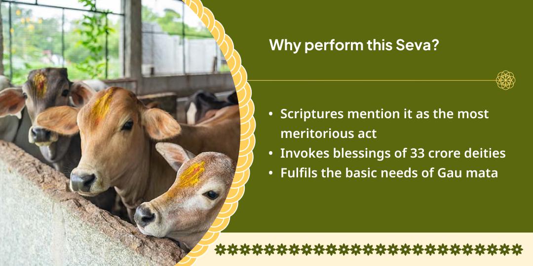 Gau Mata Seva in Mathura