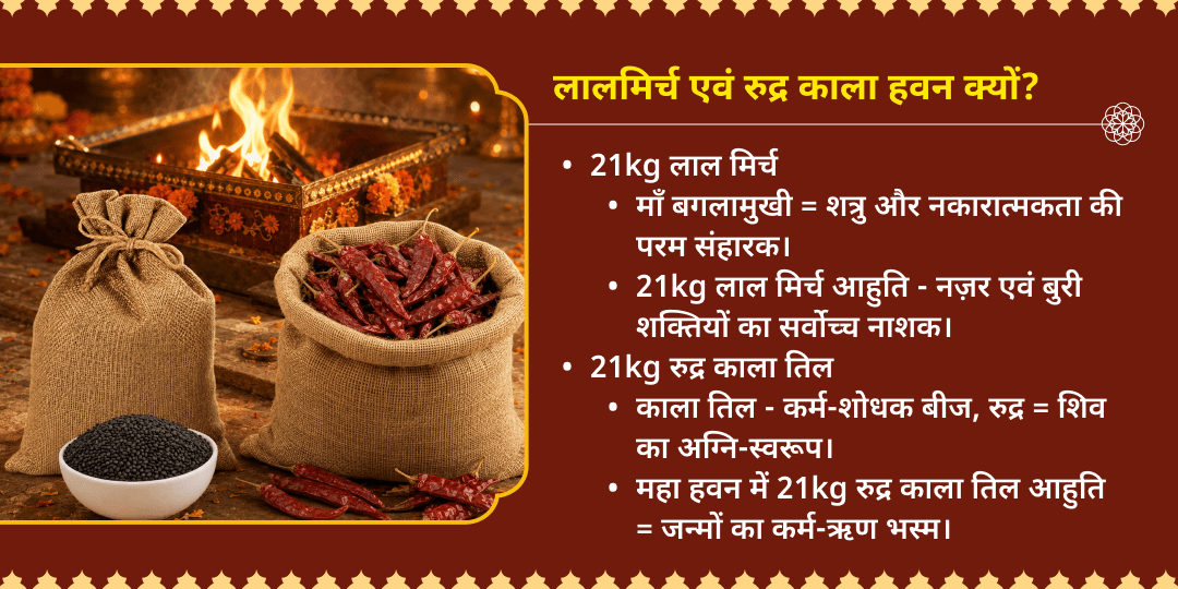 सावन ग्रहण-अमावस्या 21KG लाल मिर्ची नज़र दोष हवन - 21KG रुद्र काला तिल ग्रह दोष निवारण हवन