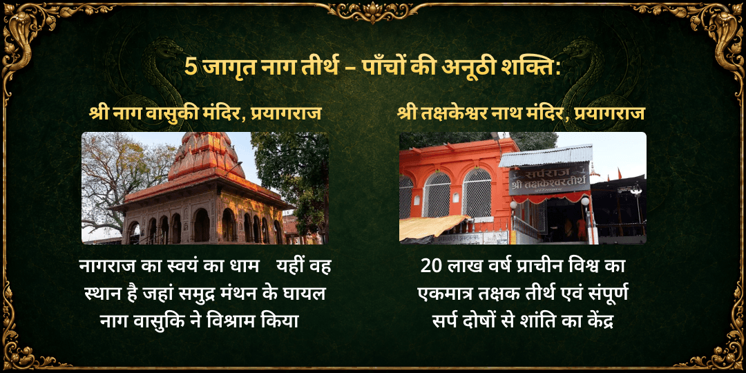 नाग पंचमी 5 नाग मंदिर दुग्ध महा अभिषेक