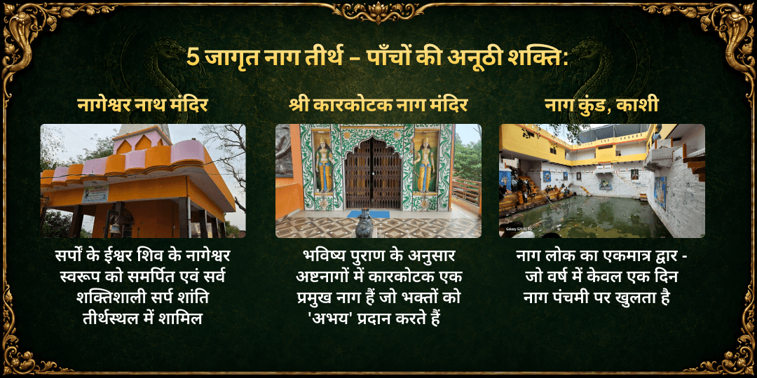 नाग पंचमी 5 नाग मंदिर दुग्ध महा अभिषेक