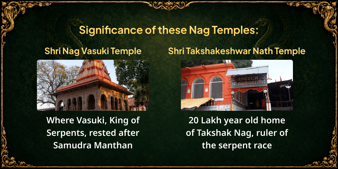 Nag Panchami 5 Nag Temples Dugdh Abhishek 