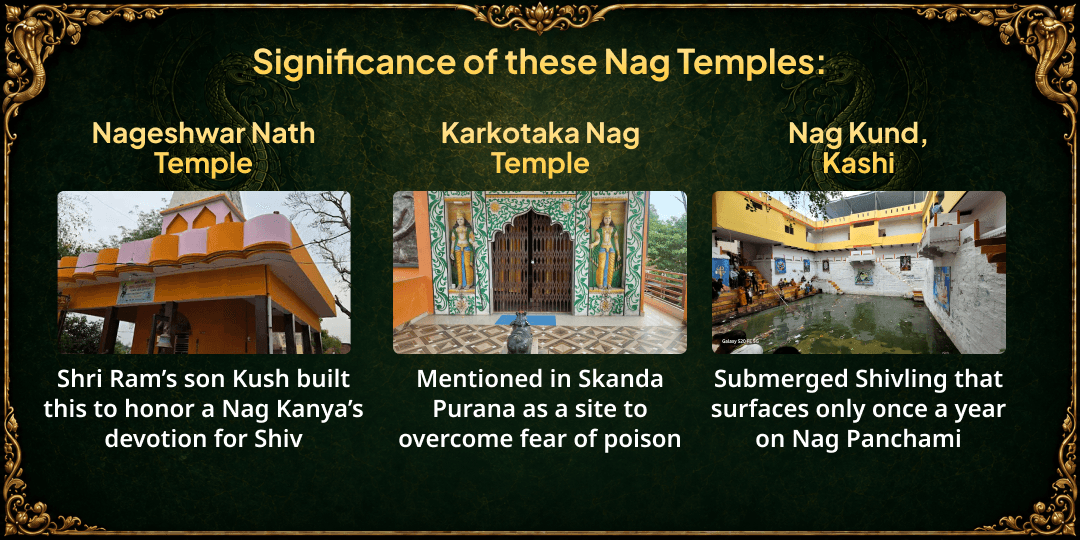 Nag Panchami 5 Nag Temples Dugdh Abhishek 