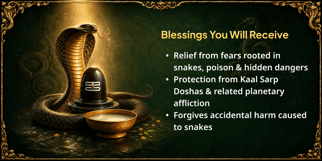 Nag Panchami 5 Nag Temples Dugdh Abhishek 