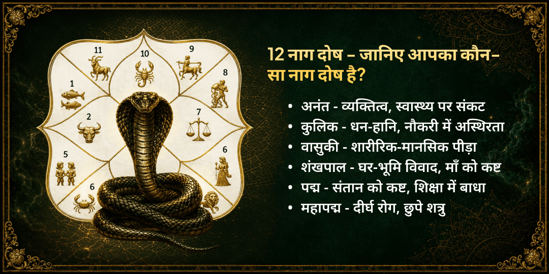 सोमवार नाग पंचमी 12 नाग दोष शांति महा हवन आहुति