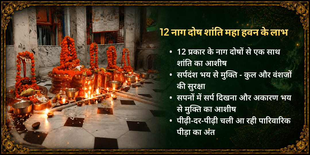 सोमवार नाग पंचमी 12 नाग दोष शांति महा हवन आहुति