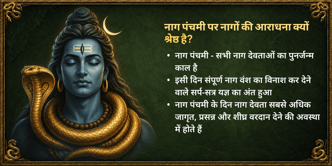 नाग पंचमी सर्प राज नाग वासुकि दुग्धाभिषेक