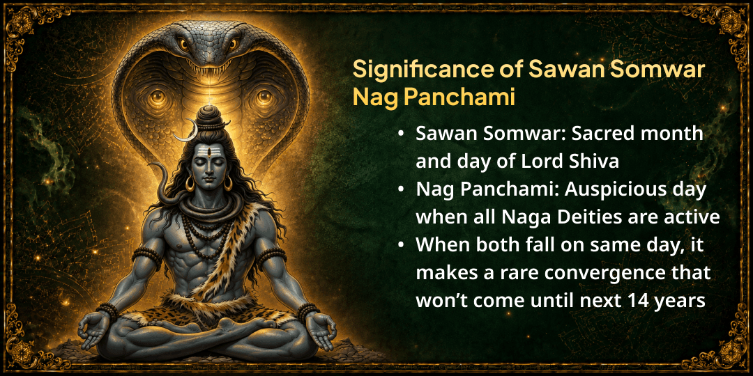 Somwar Nag Panchami 12 Nag Doshas Shanti Maha Havan Ahuti 