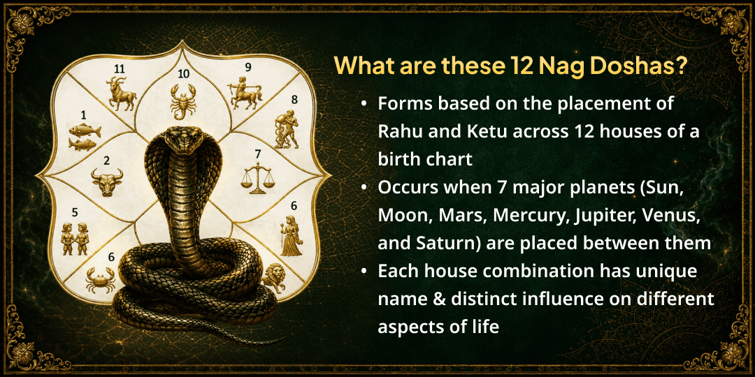 Somwar Nag Panchami 12 Nag Doshas Shanti Maha Havan Ahuti 