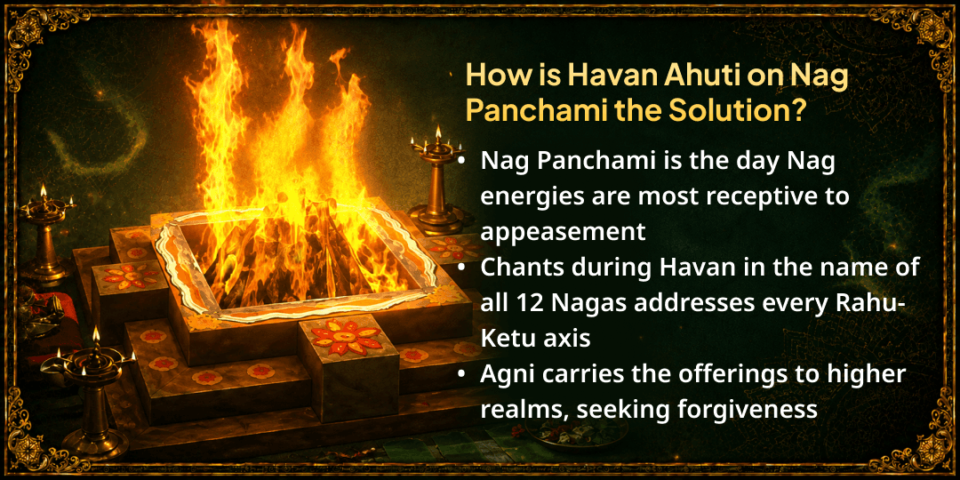 Somwar Nag Panchami 12 Nag Doshas Shanti Maha Havan Ahuti 