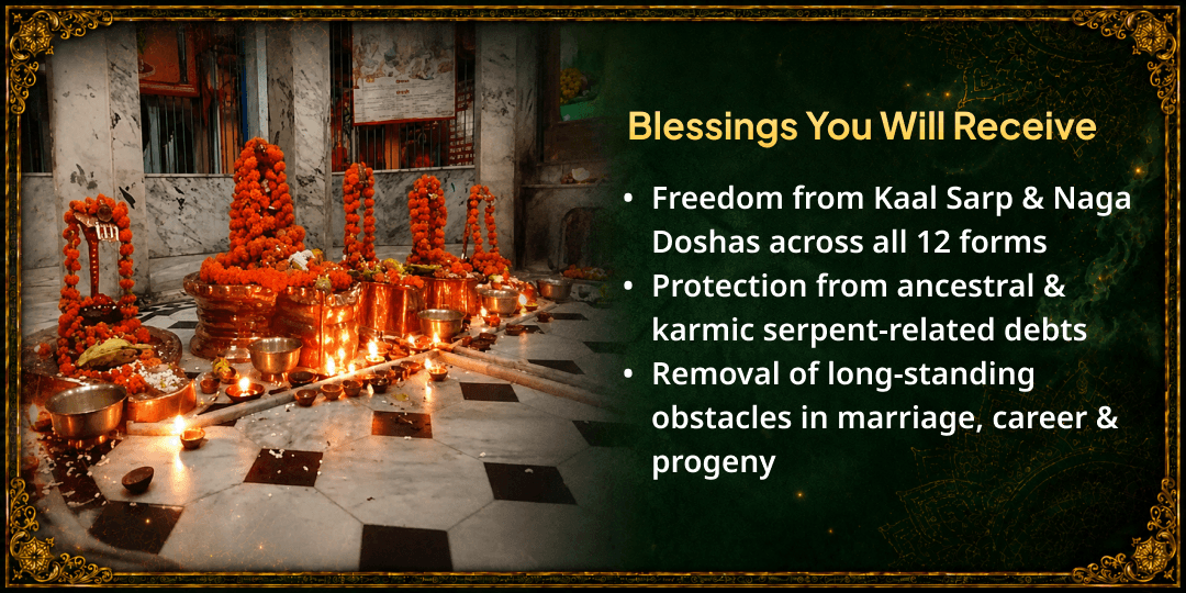 Somwar Nag Panchami 12 Nag Doshas Shanti Maha Havan Ahuti 