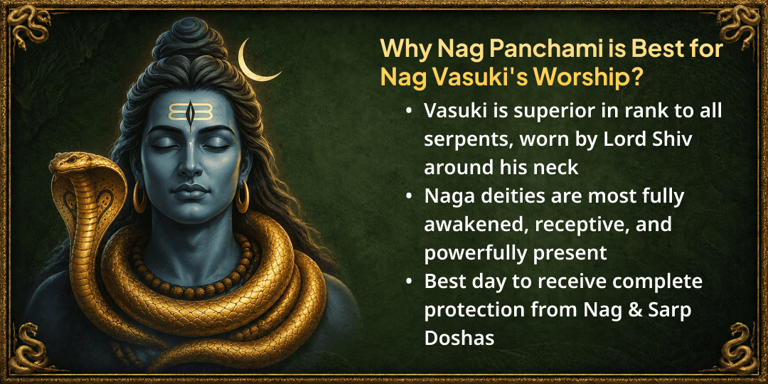 Nag Panchami Sarp Raj Nag Vasuki Dugdh Abhishek