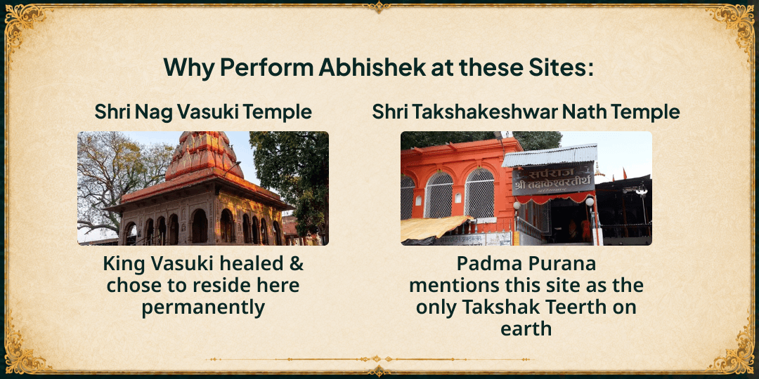 Sawan Somwar-Nag Panchami Shiv-Sarp Raj 4 Temples Dugdh Abhishek 