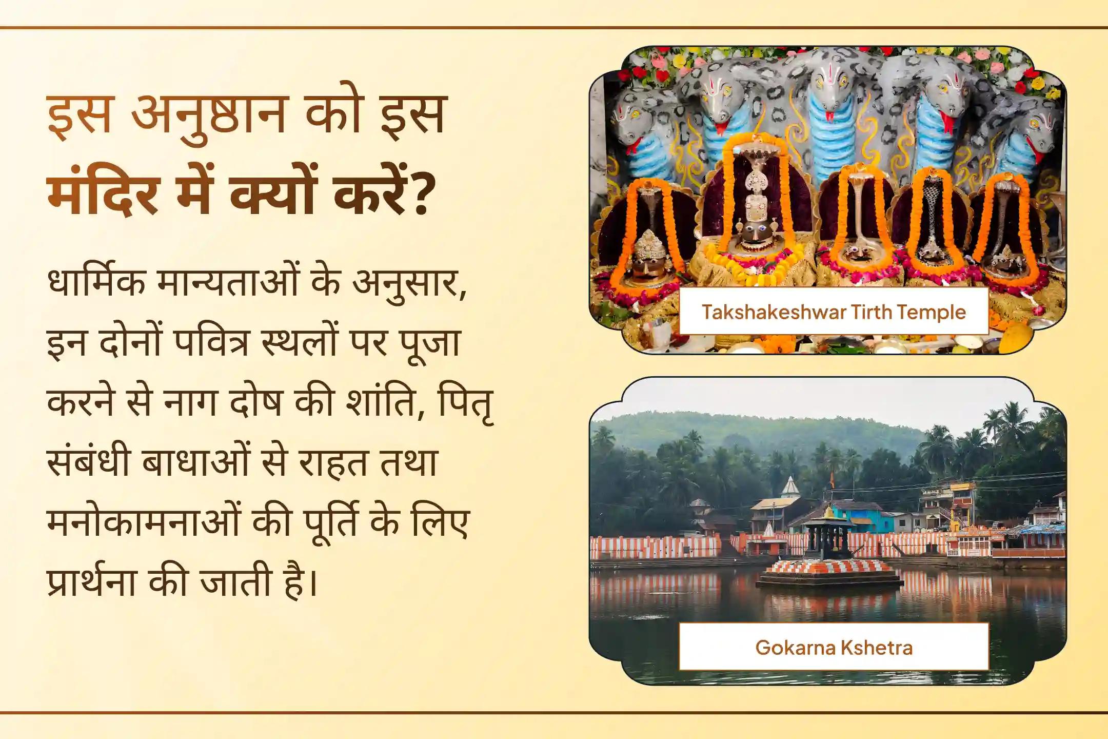 पितृ नाग दोष परिवार की खुशियों में बाधा बन सकता है।