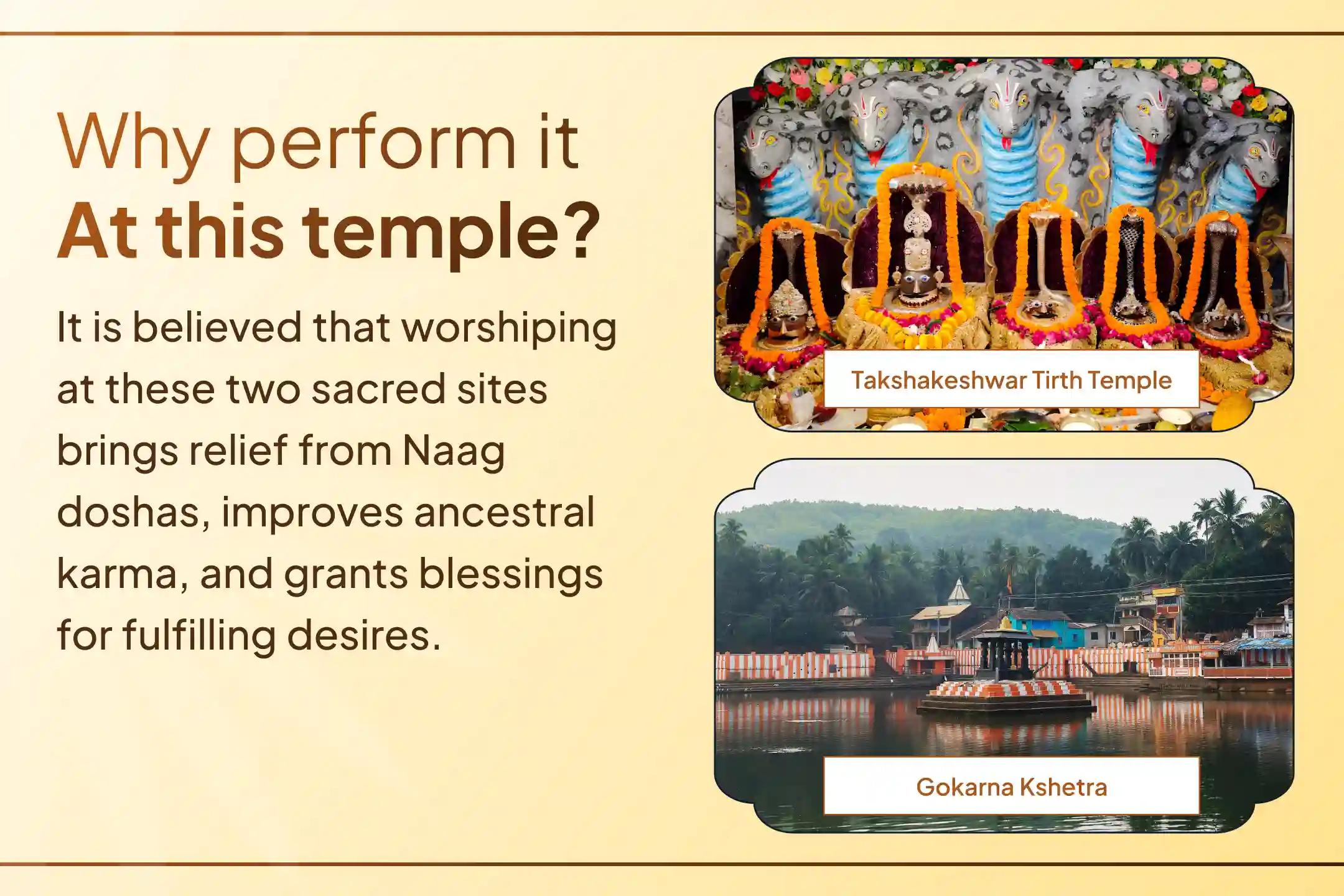Ancestral Naag Dosh Silently Disrupt Marriage, Children and Family Peace. 