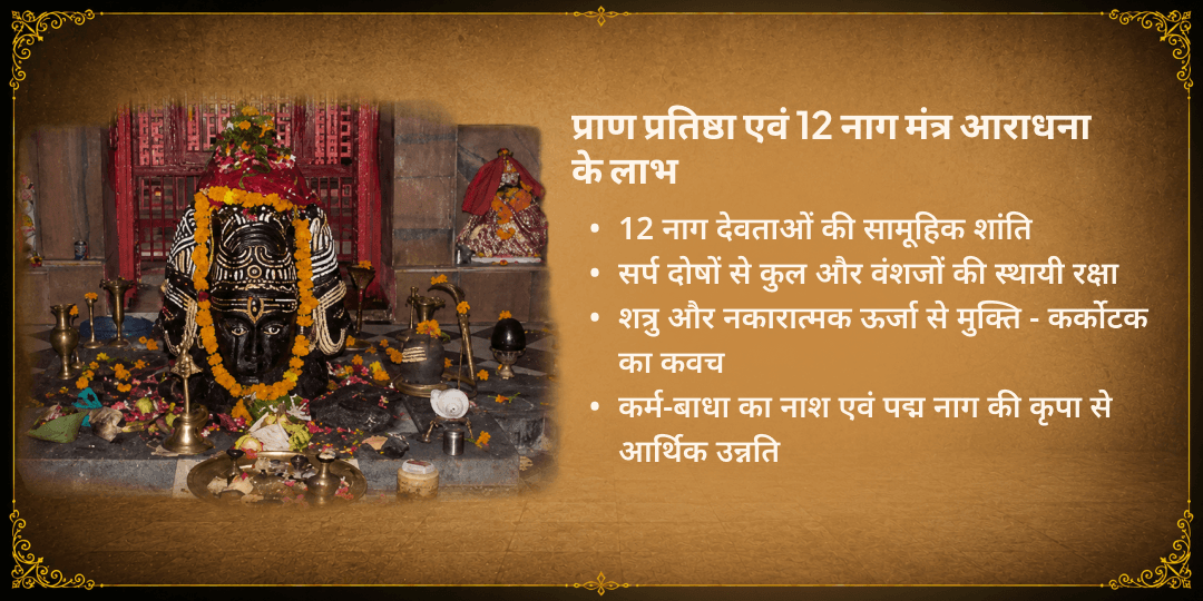 नाग पंचमी रजत नाग प्राण प्रतिष्ठा एवं 12 नाग देवता मंत्र अभिषेक