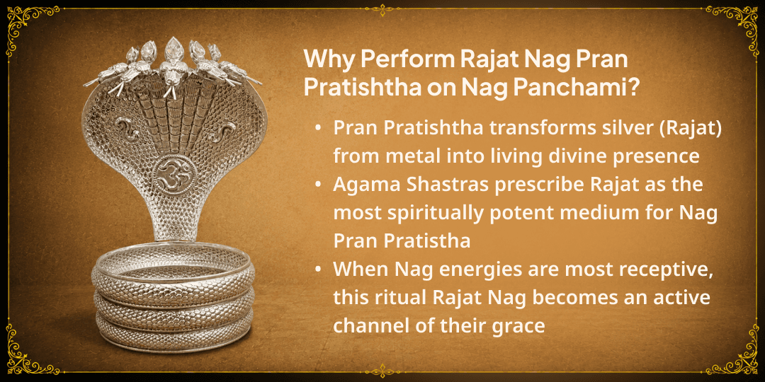 Nag Panchami Rajat Nag Pran Pratistha & 12 Nag Devtas Mantra Abhishek 