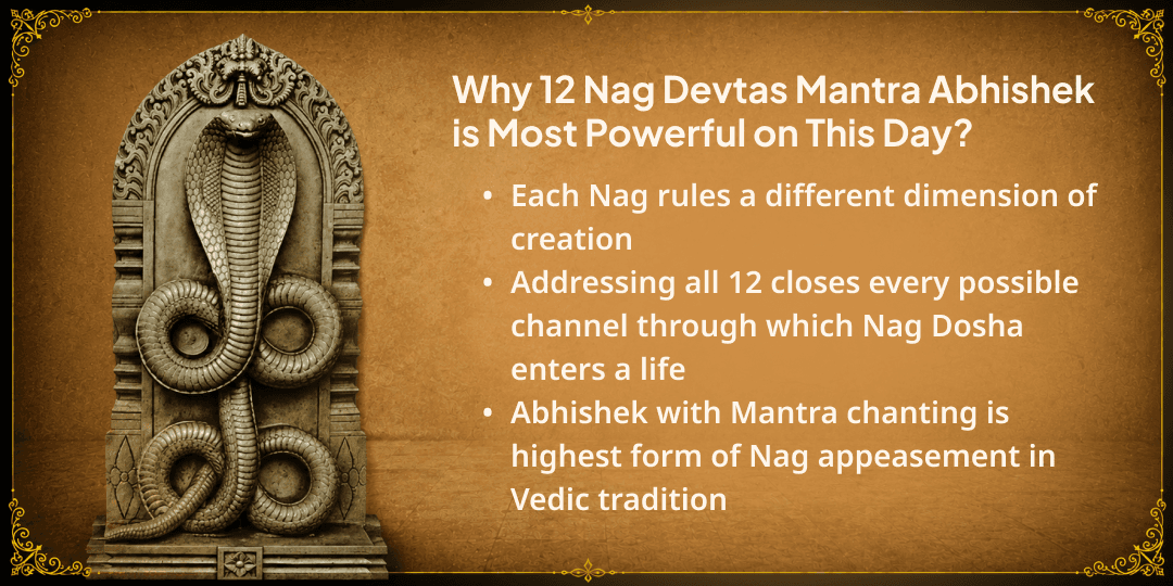 Nag Panchami Rajat Nag Pran Pratistha & 12 Nag Devtas Mantra Abhishek 