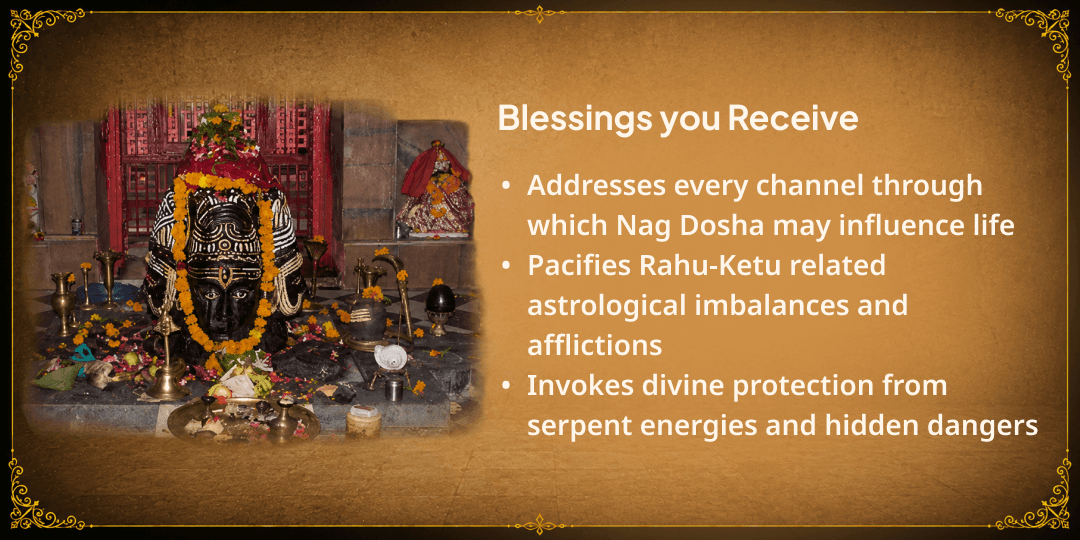 Nag Panchami Rajat Nag Pran Pratistha & 12 Nag Devtas Mantra Abhishek 